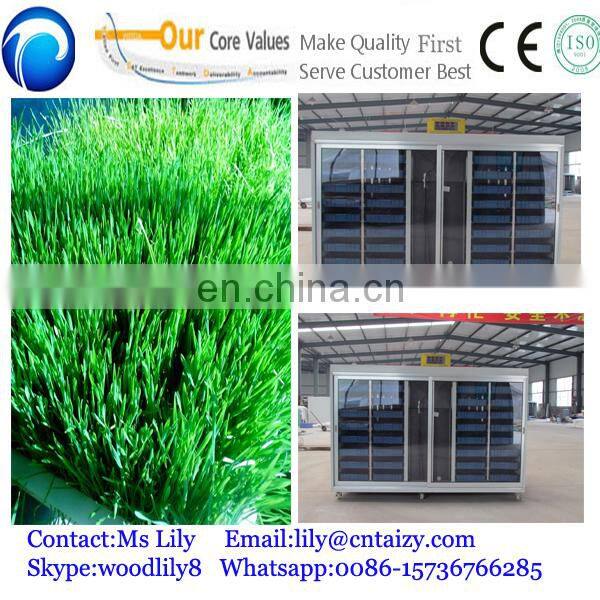 seed sprout machine barley sprout machine