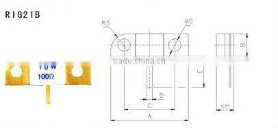 RIG21 shunt resistor terminator resistors