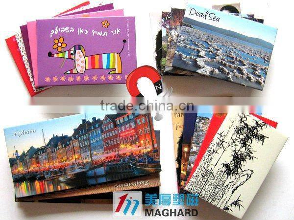 Fridge magnet for souvenir gifts /Art magnet