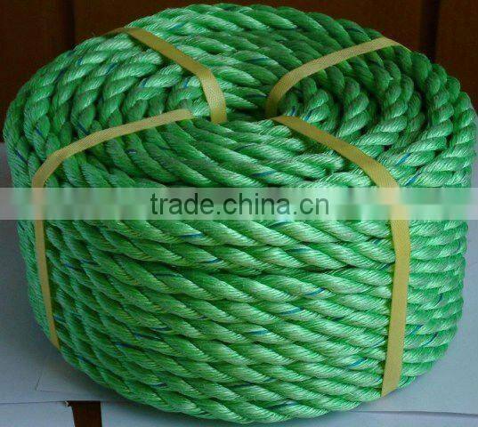 PP Danline Rope