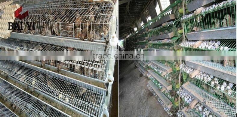 Manufacturing Durable Low Price Wire Mesh Layer Cage For Quail(hot sale)