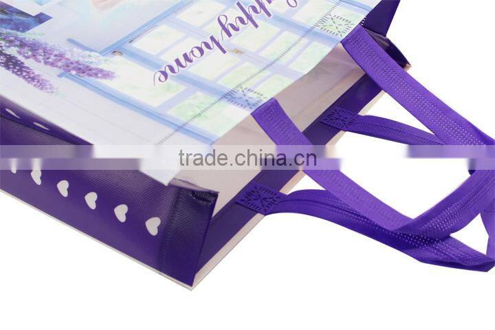 Cheap Reusable Non Woven Cloth Shopping Bag Garment Bag Wholesale