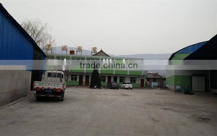 Best selling nutritious Apple Fuji Apples Chinese Fuji Apple