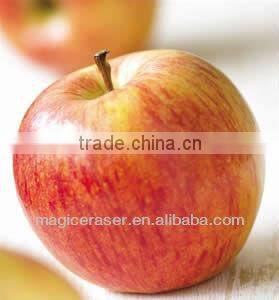 List Small Business Ideas Opportunities - Fruit Cleaning/Apple Cleaning Sponge