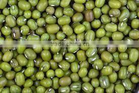 supplying GREEN MUNG BEANS (CHINA)for sale
