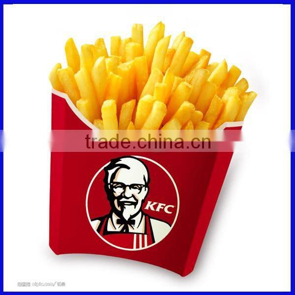 Electric Deep Fryer