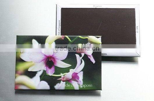 2013 Tin Magnet Of Gift