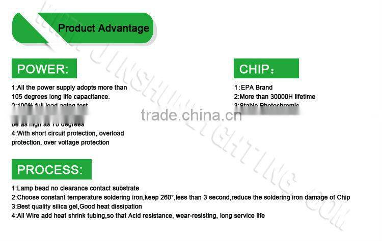 LED down light 3W professional light