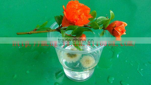 8oz disposable transparent plastic cup