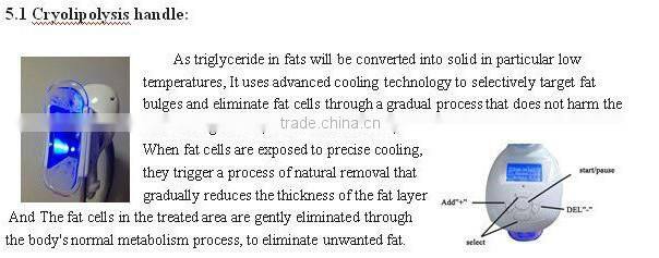 Portable cryo cavitation rf lipo laser cryolipolysis/cryolipolysis machine