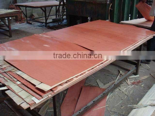 Polyester Veneer Faced Particle