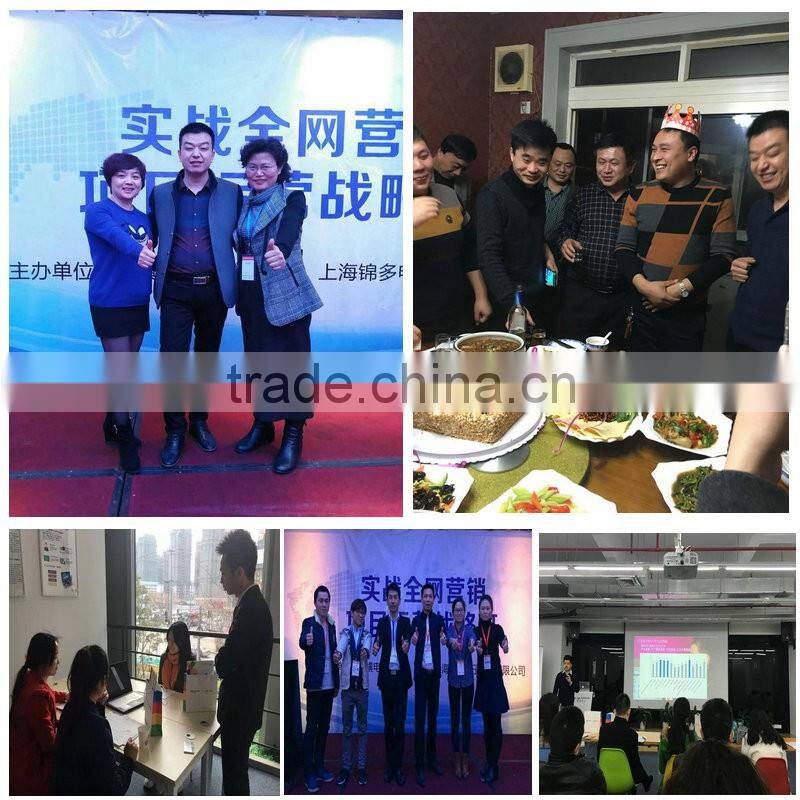 miniature pillow block bearings mounted ball bearings