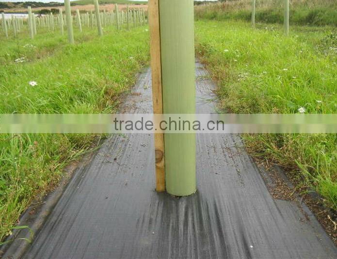 Black Ground Cover,Weed Control Fabric Popular 100GSM,2M*100M