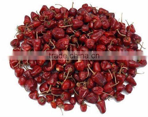 Mundu red chilles from Tamilnadu