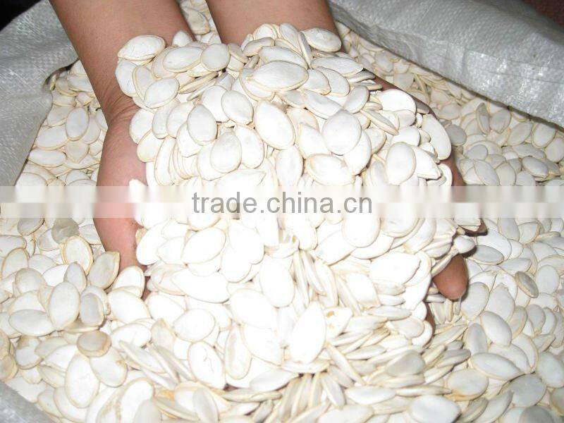 2013 crop snow white pumpkin seed