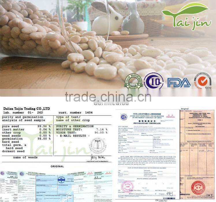 China Origin Good Quality White Kidney Beans