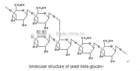 Yeast Beta Glucans as pharmaceutical immune polysaccharides and anti radiation