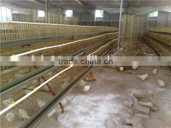 Automatic layer chicken cages, poultry farm cage for 120 chickens