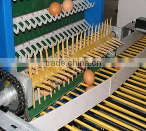 Automatic egg collect machine for layer chicken farm
