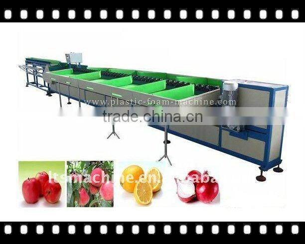 Hot selling apple sorting machine
