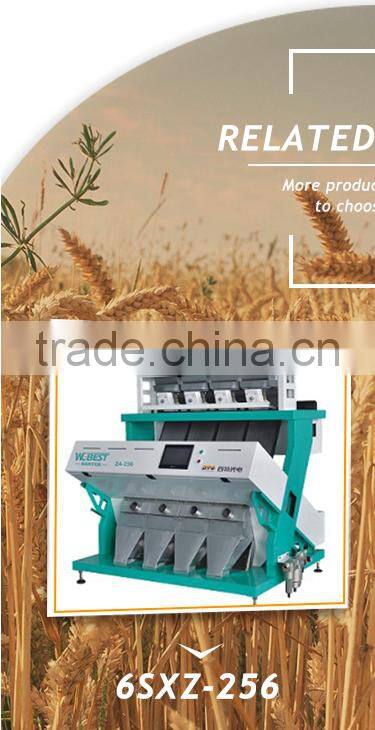 China Manufacturer Electronic CCD Monosodium Glutamate Color Sorter