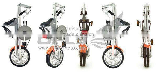 CE Approved Hot Selling Mini Foldable Bike with Cheap Price