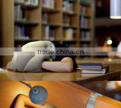 Magical Ostrich Pillow