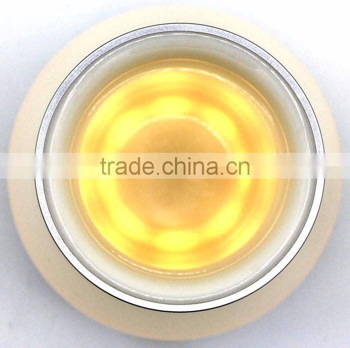 LED Table Vase Lamp with Built-in Lithium Battery