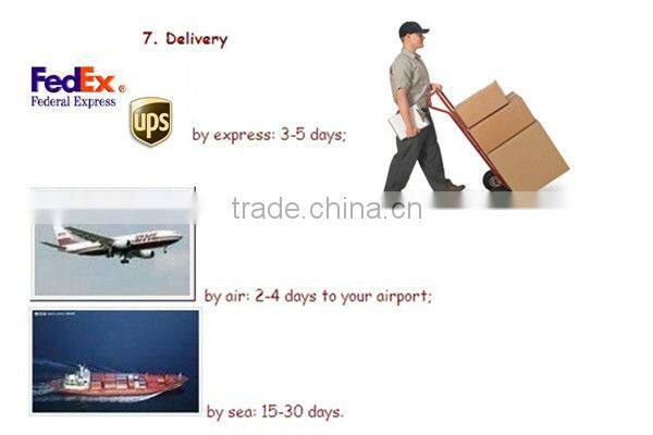 Novelty cat head silicone fried egg molds