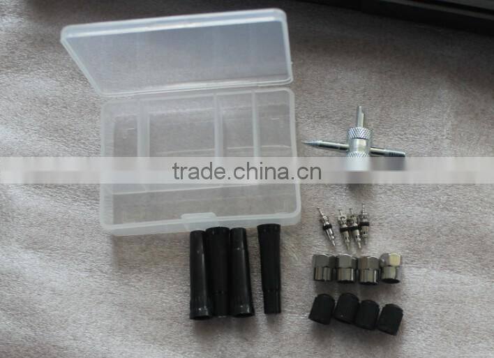 Car Tire Repair Tools Kit Long Nose Pliers Insides