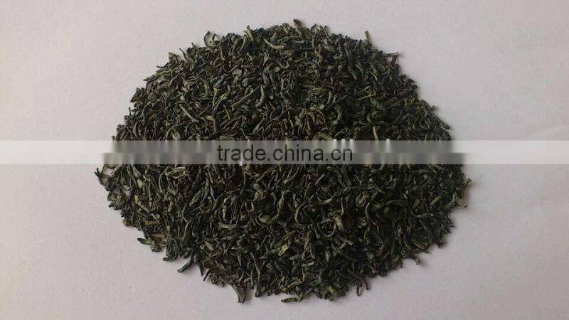 Green Tea Chunmee 41022AA, 41022AAA, 41022AAAA