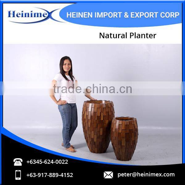 Acasia Wood and Fiber Glass Made Planters at Reasonable Price
