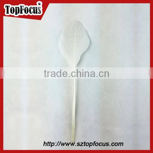 Fashion factory prices wholesale prime quality dyed goose wing feather