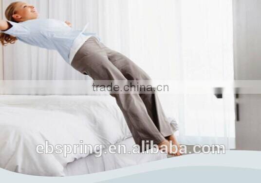 Beauty Sleep Box Spring Mattress with Pillow Top