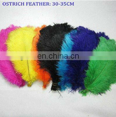 25-30cm Colorful Ostrich Feather For Wedding Dress 2014