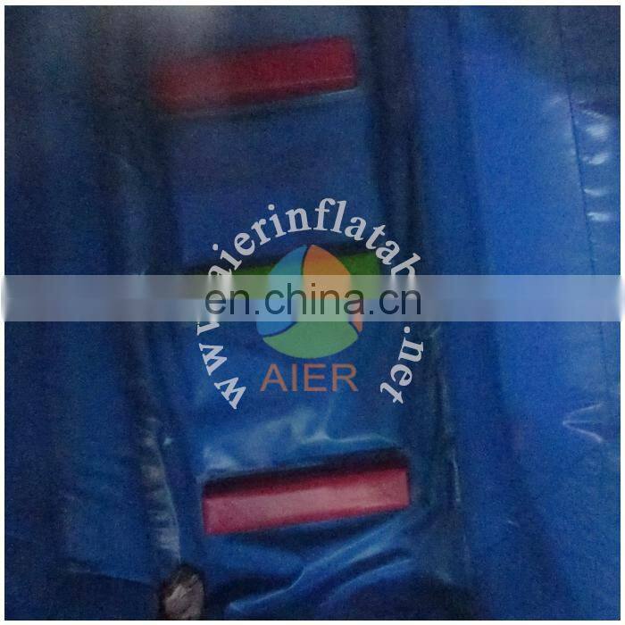 China factory price inflatable frozen bouncy castle / adult baby play toy inflatable bouncer house with slide