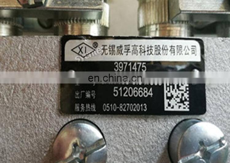 6AW163 Weifu Fuel Injection Pump 3971475 for 6BTA5.9