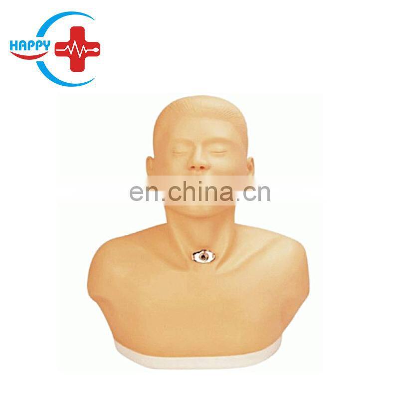 HC-S119 Competitive price Advanced swallowing mechanism model in medical nursing
