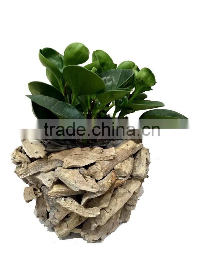 gardening pots, garden flower pots, garden flower pots