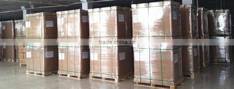 10T double flat polyester webbing sling