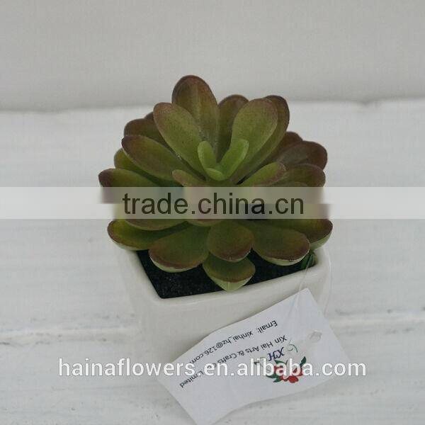 Mini succulents plants natural artificial plants gift high simulation plants