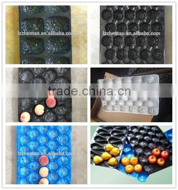 PP/PS/PET plastic tray /packaging tray /fruit tray