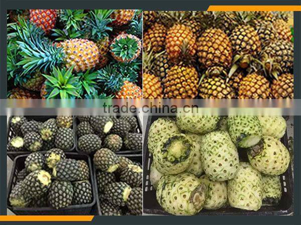 Leader pineapple peel and pulp separater with low power consumption