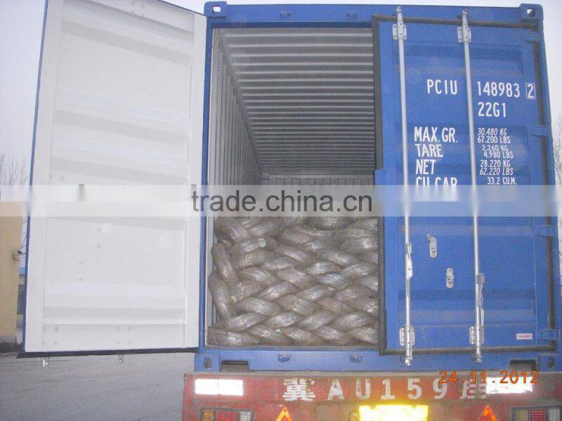 Low Price Electro Galvanized Iron Wire