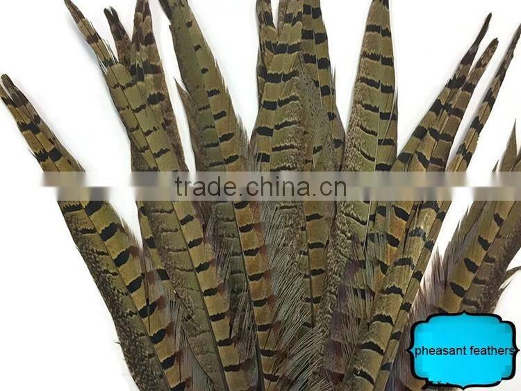 Wholesale Reeves pheasant tail feathers, Natural Pheasant Tail Feathers