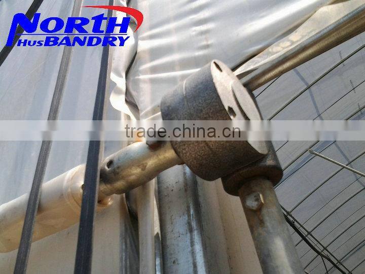 Commercial Greenhouse for agriculture