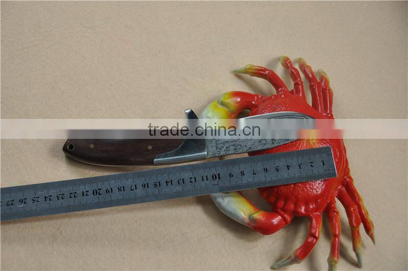 Wood handle hunting knife