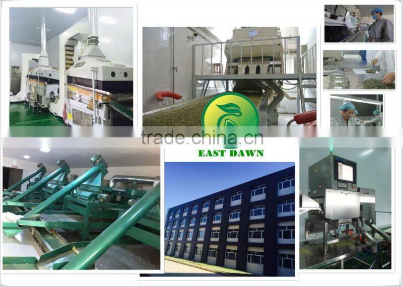 Raw Pumpkin Seeds GWS