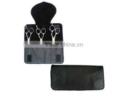 Profesional Scissors case