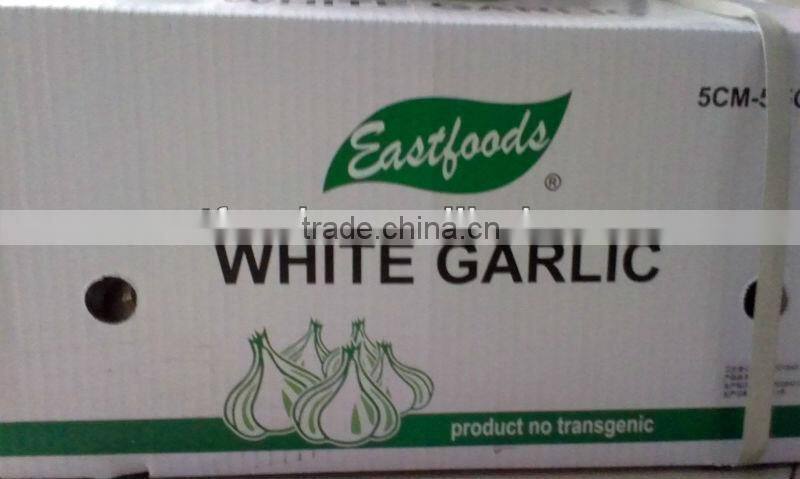2015 new crop pure white garlic 4.5